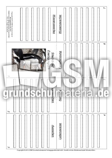 Faltbuch-Eselspinguin.pdf